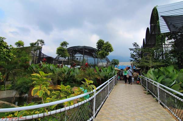 Pesona Wisata Eco Green Park | Wisata Malang