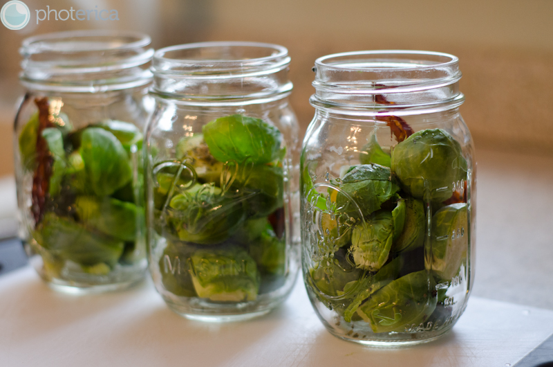 Photerica Canning obsession Pickled Brussel Sprouts
