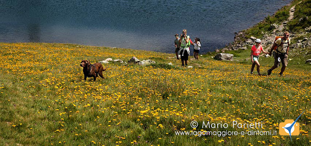 Incontri al lago del Monscera Incontri al lago del Monscera