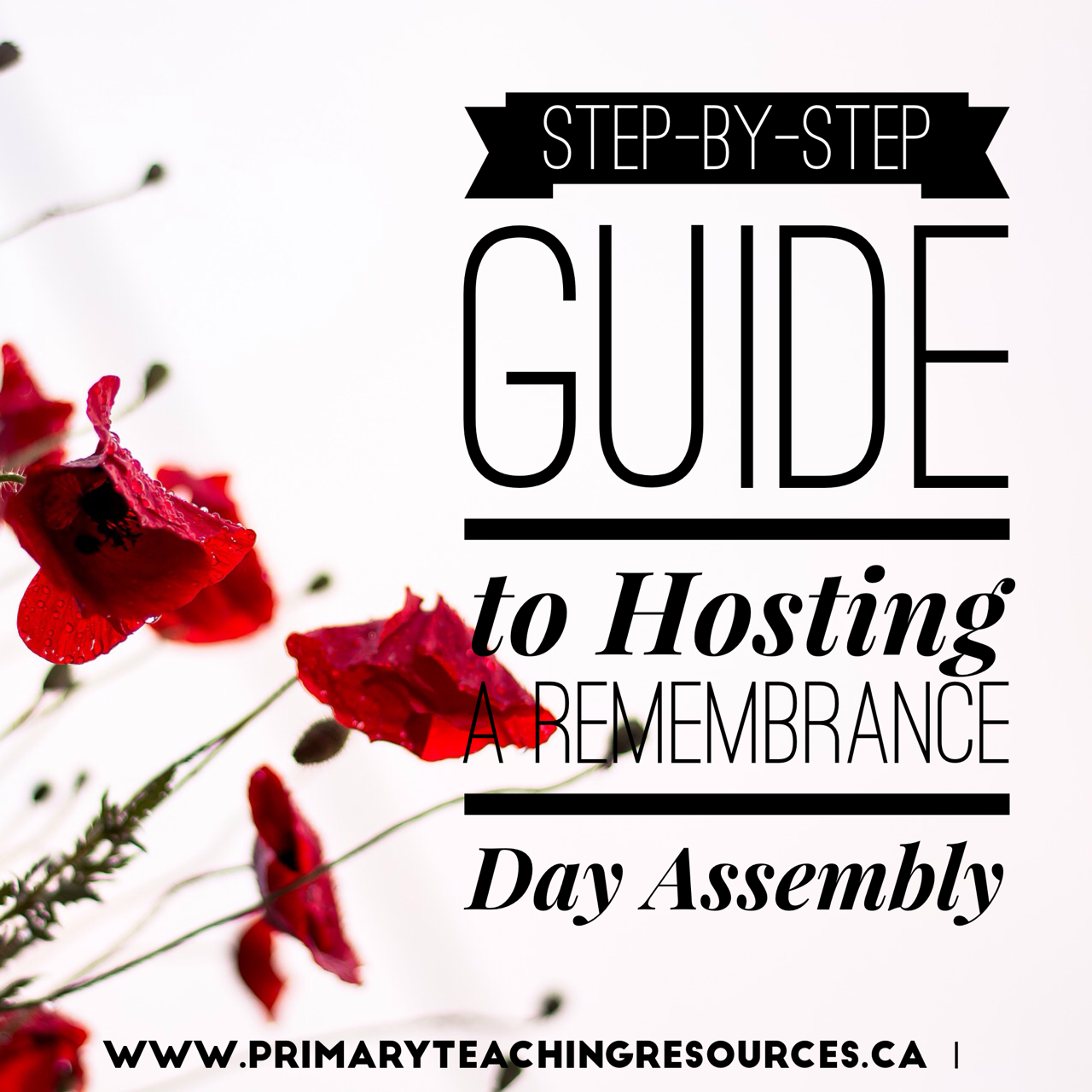 Remembrance Day Assembly Ideas Primary Teaching Resources