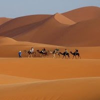 morroco travel