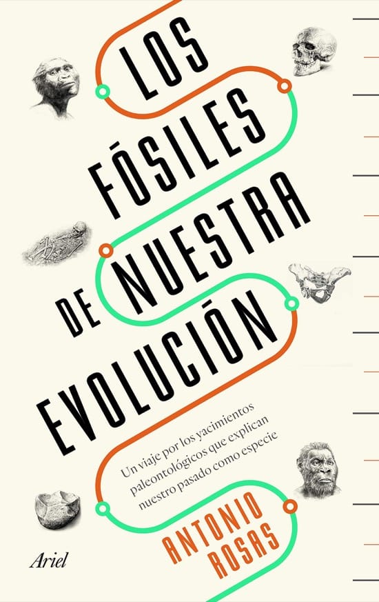Los fósiles de nuestra evolución, de Antonio Rosas Los fósiles de nuestra evolución, de Antonio Rosas