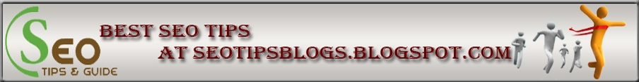 SeoTipsBlogs -