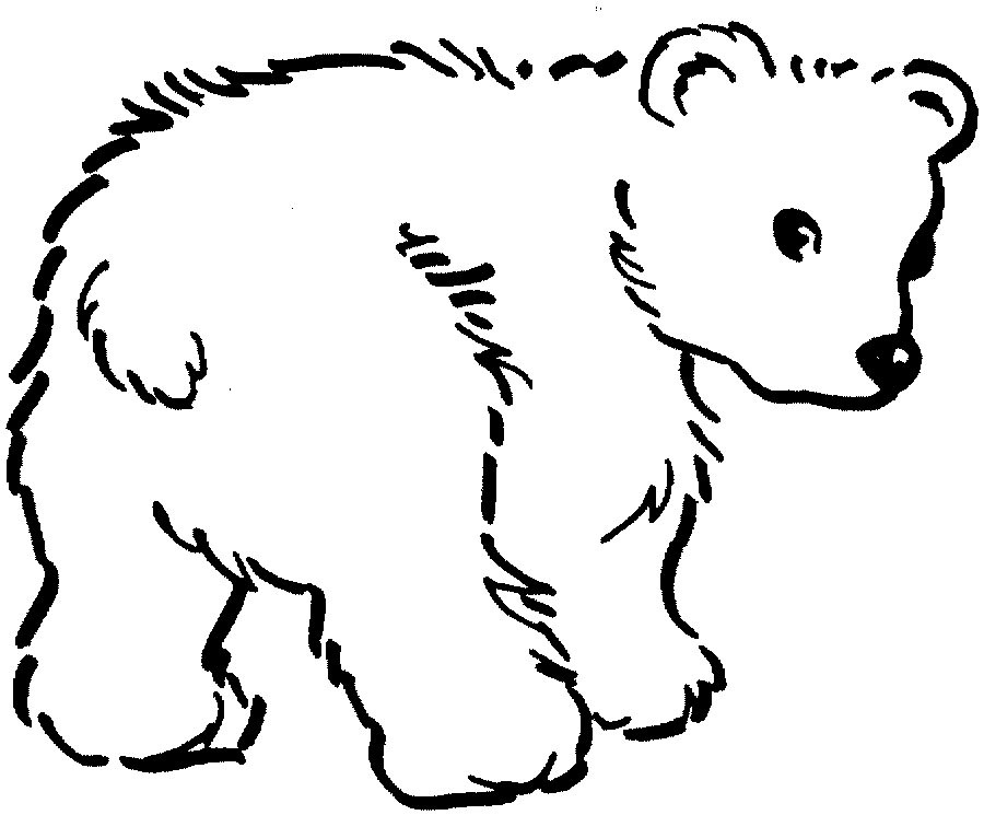 baby brown bear coloring pages - photo #14