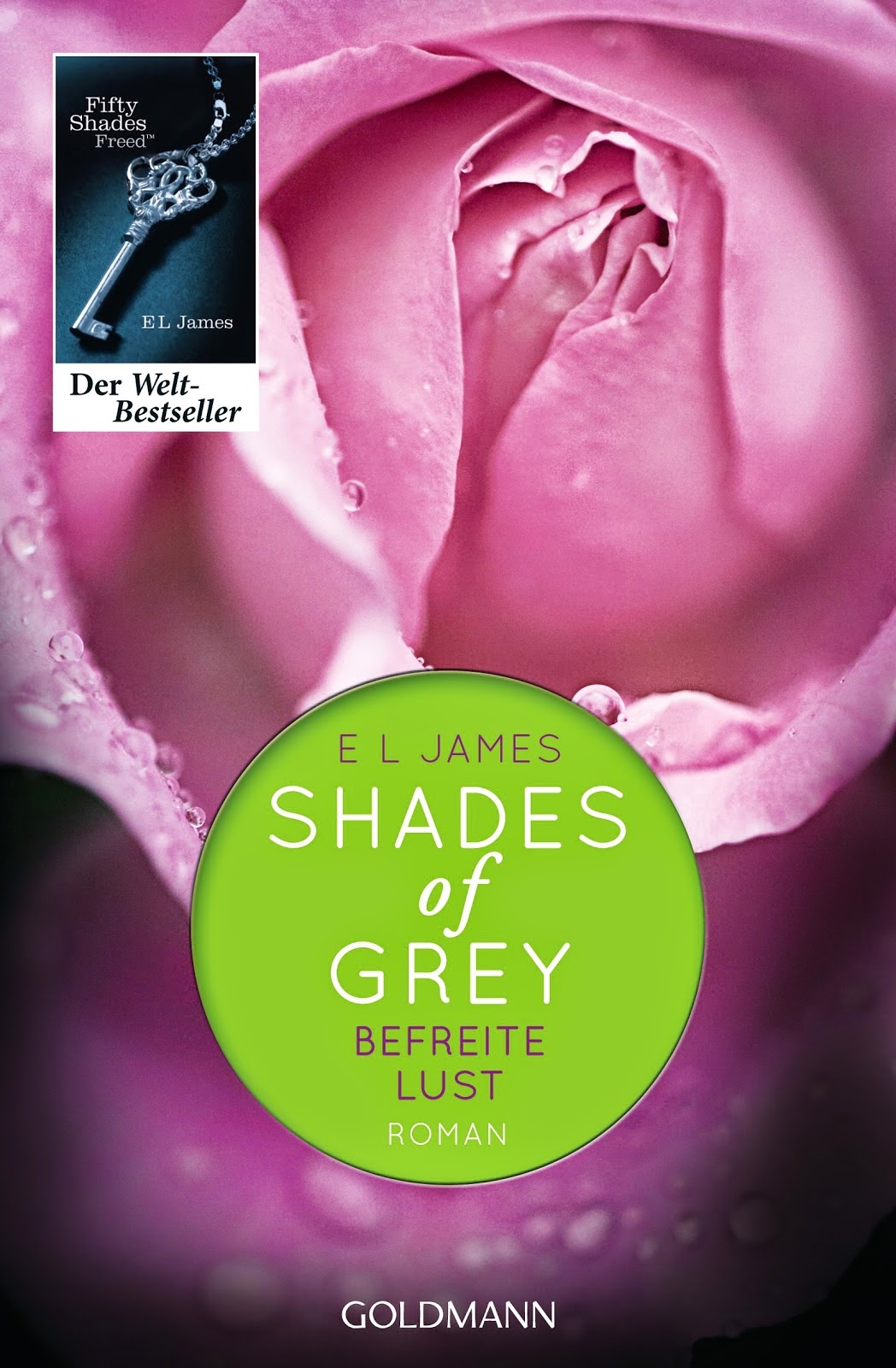 Buch: Shades of Grey 1-3 Trilogie - Zusammenfassung mit Trailer und Soundtrack - www.annitschkasblog.de