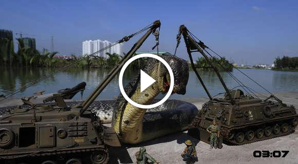 Super Fast Video 100ft long snake Sparks Concerns Of Mythological 