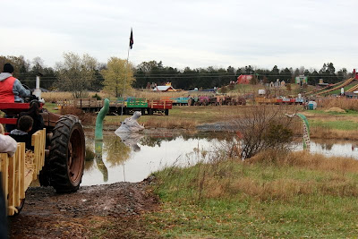 Green Cleaning Suggestions To Environment-Friendly Your House Cleaning