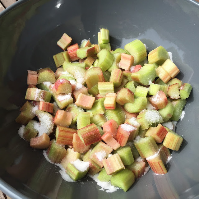 Morceaux de rhubarbe saupoudrés de sucre 