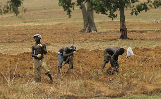 Nigerian Peoples Nigerian Peoples