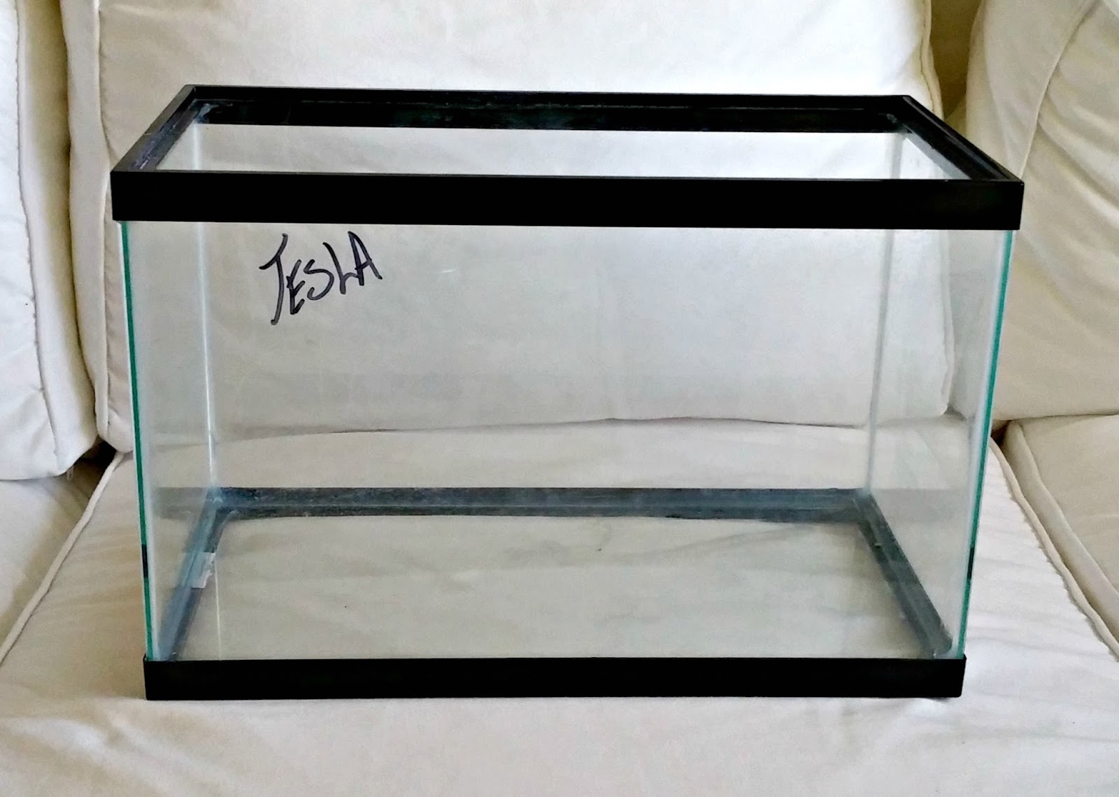 Repurposed Fish Tank Little Vintage Cottage