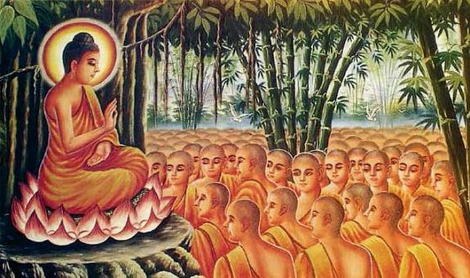 11 MUST READ LIFE LESSONS FROM BUDDHA Buddhism and Science for Life