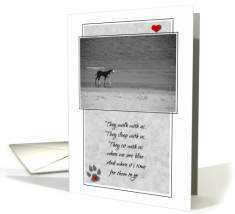 349 at greeting card universe