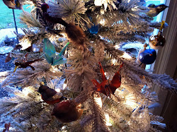 poplar grove muse tree