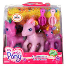 My Little Pony Fluttershy Rainbow Ponies Bonus G3 Pony