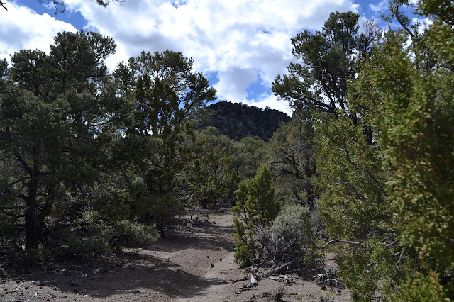 a couple ruts