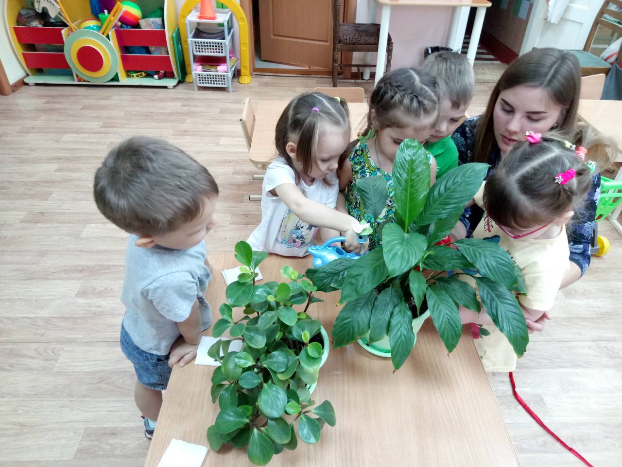 Мир цветов младшая группа. Комнатные растения 2 младшая группа. Комнатные растения для дошкольников младшая группа. Комнатные растения в младшей группе детского сада. Посадка цветов в ДОУ С детьми.