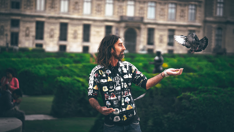 Man feeding a Pigeon