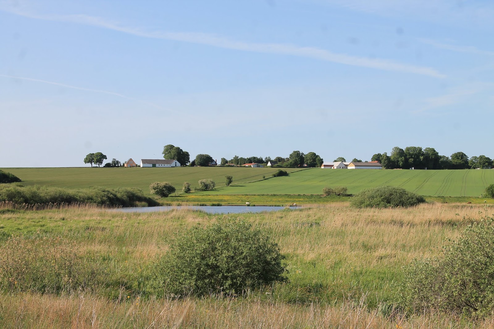 Vandringsløse Tidende Ringsted Hvalsø ad Oplevelsesstien mm