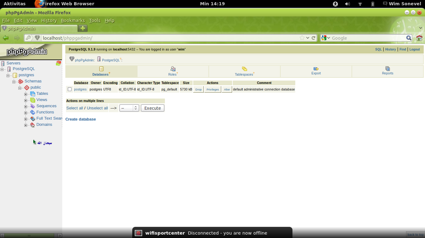 Pgsql ubuntu