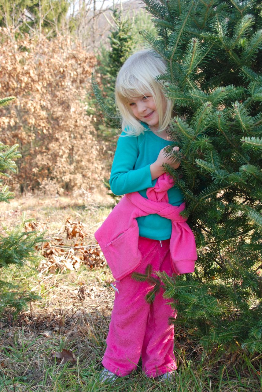 Wife, Mother, Gardener Renick's Christmas Tree Farm