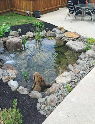 backyard garden pond backyard garden pond