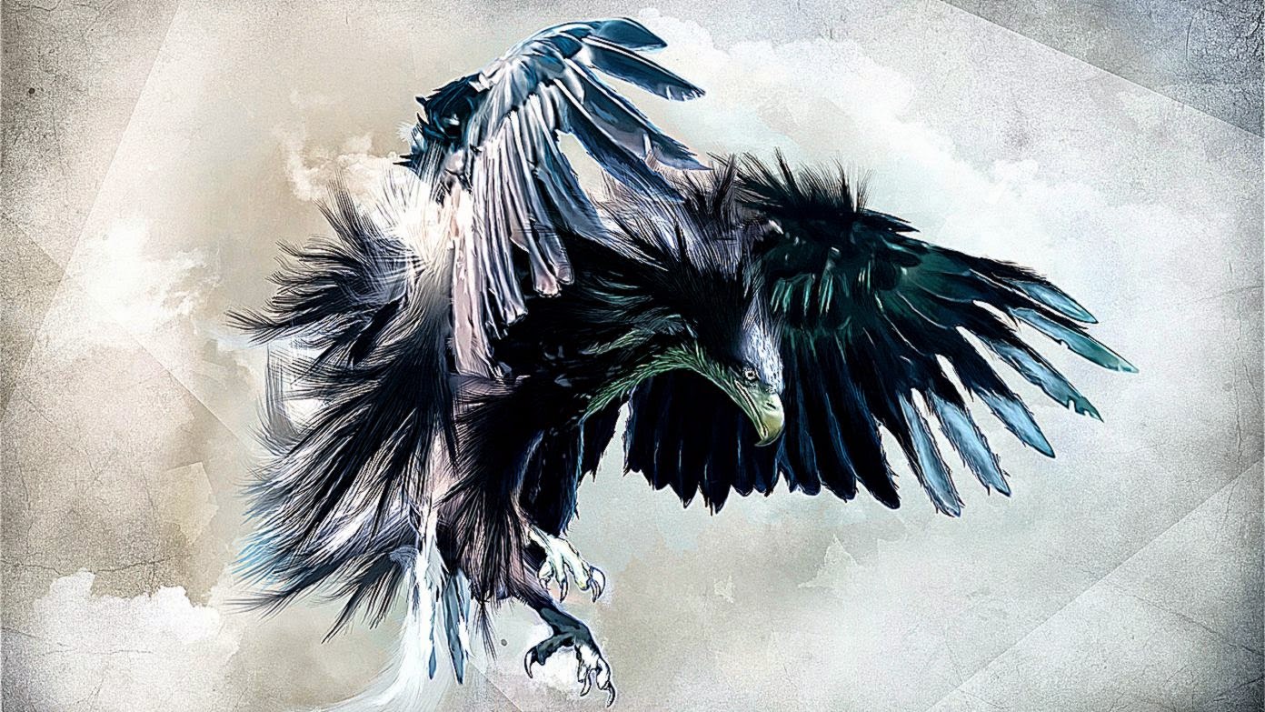 327 Eagle Wallpapers Backgrounds   Wallpaper Abyss
