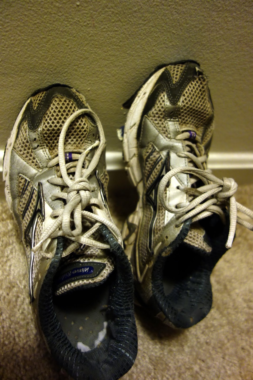 Healthy, Happy, Vibrant An Ode to Old Running Shoes