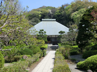 浄妙寺の新緑