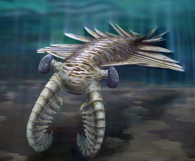 The fearsome meter-long super-predator Anomalocaris. CREDIT: Katrina Kenny & University of Adelaide