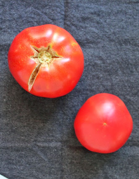 Homegrown garden tomato harvest: Caspian pink tomatoes