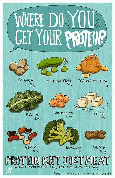 Vegetarian/ vegan protein sources