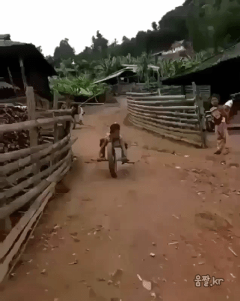 1.gif