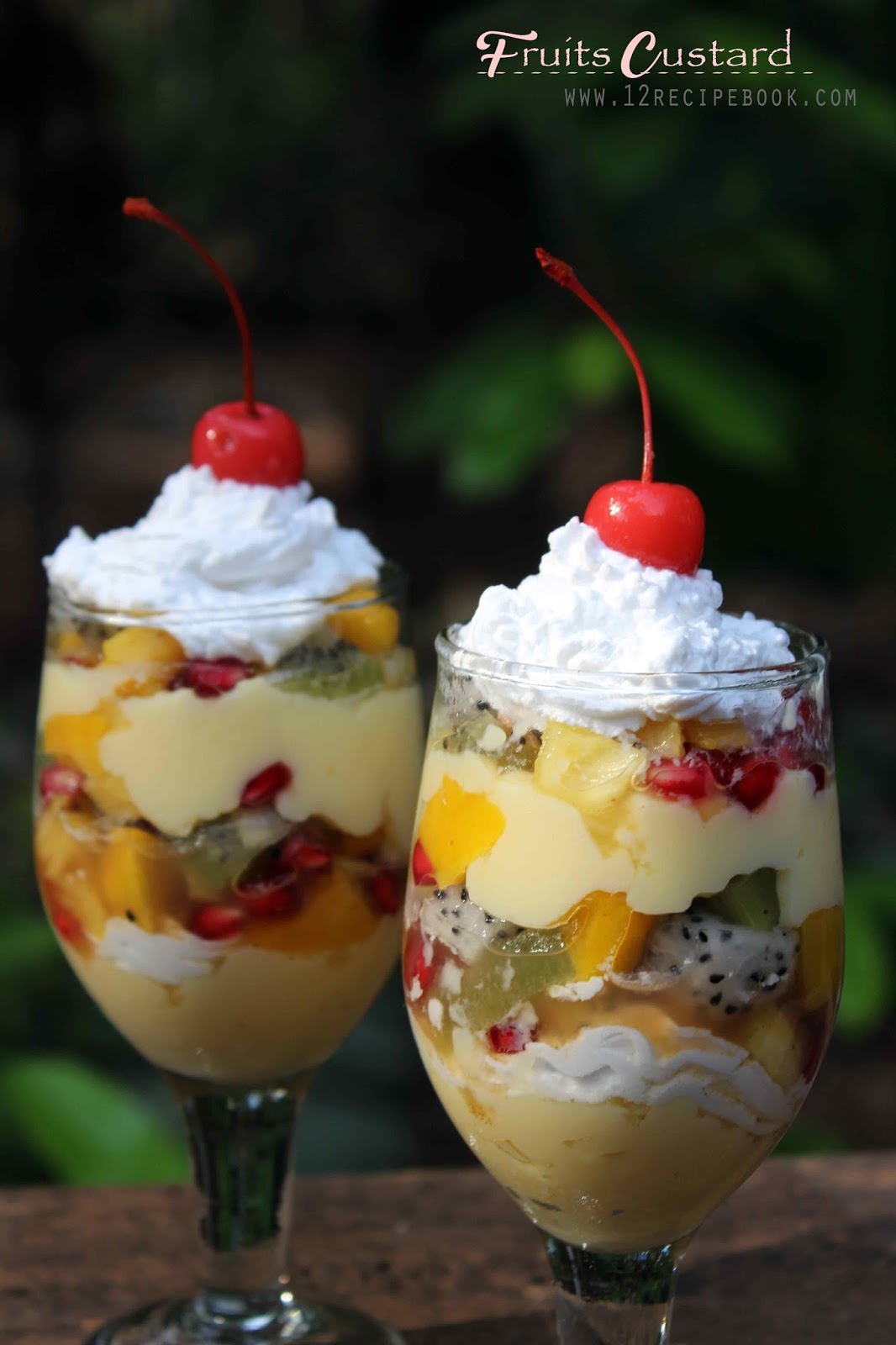 Fruits Custard Recipe Book