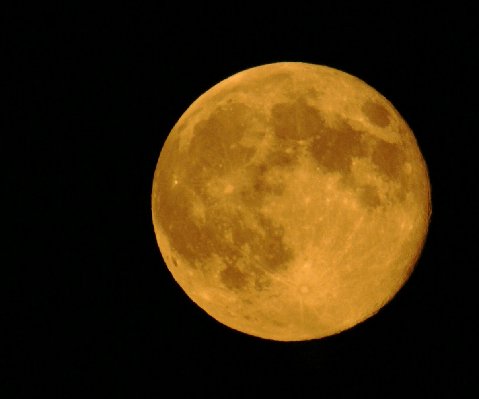 Shoreline Area News: Photo: Harvest Moon