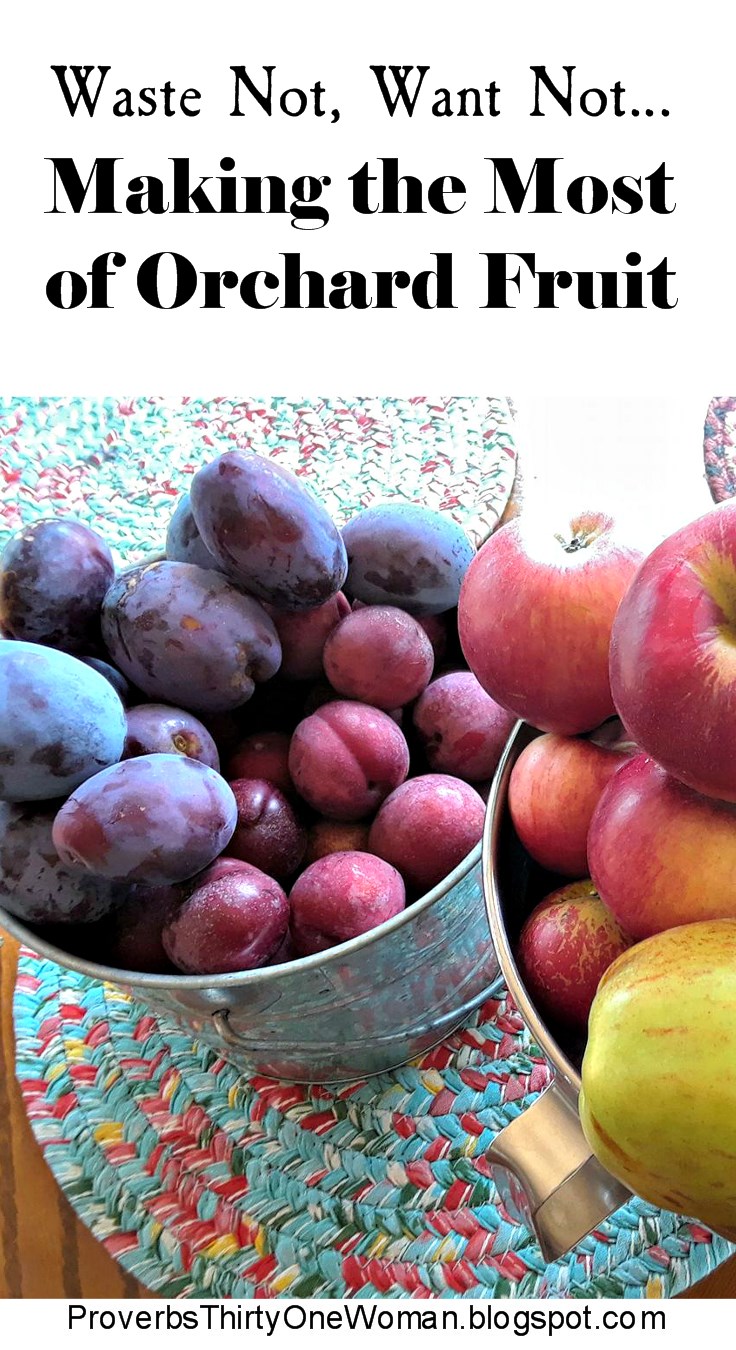 Proverbs about fruits and vegetables Proverbs about fruits and vegetables