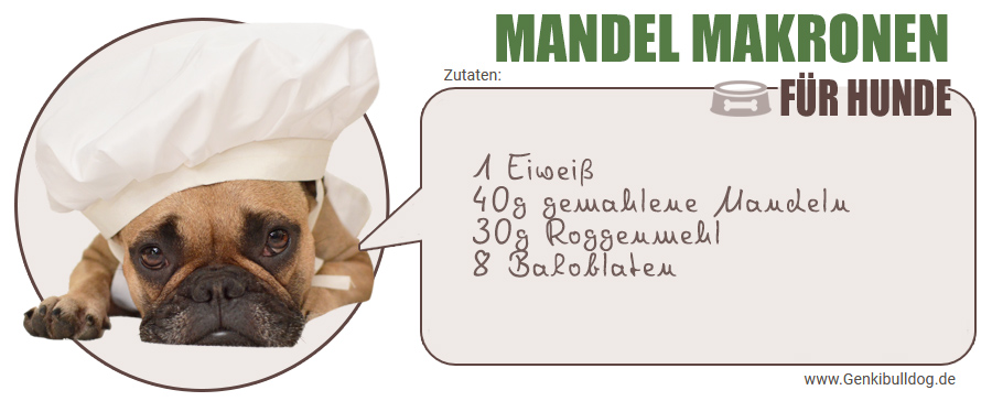 Weihnachtsplätzchen Hundekekse Mandelmakronen selbst backen Rezept Weihnachtsplätzchen Hundekekse Mandelmakronen selbst backen Rezept