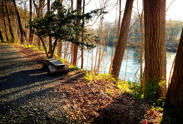 Bench Along the Delaware River on the hiking trail