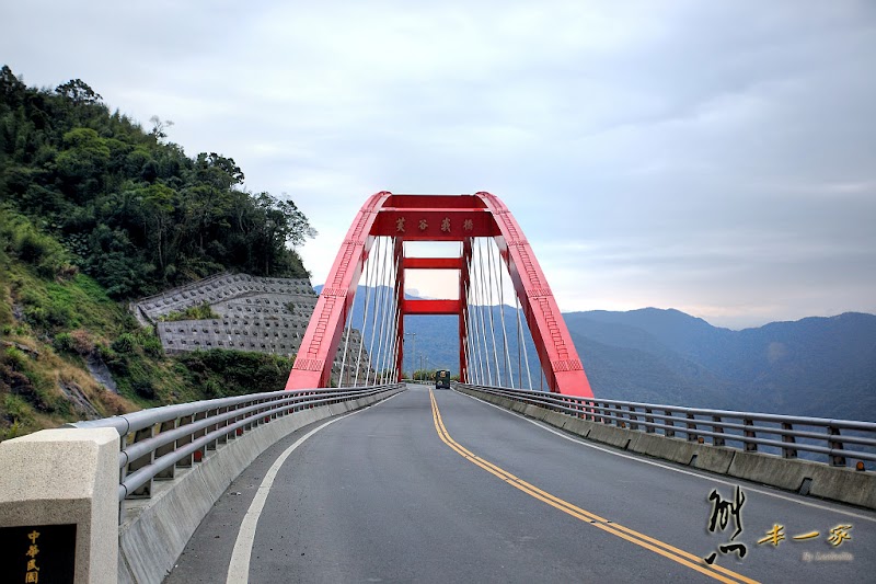 阿里山國家森林遊樂區櫻花季|阿里山櫻王