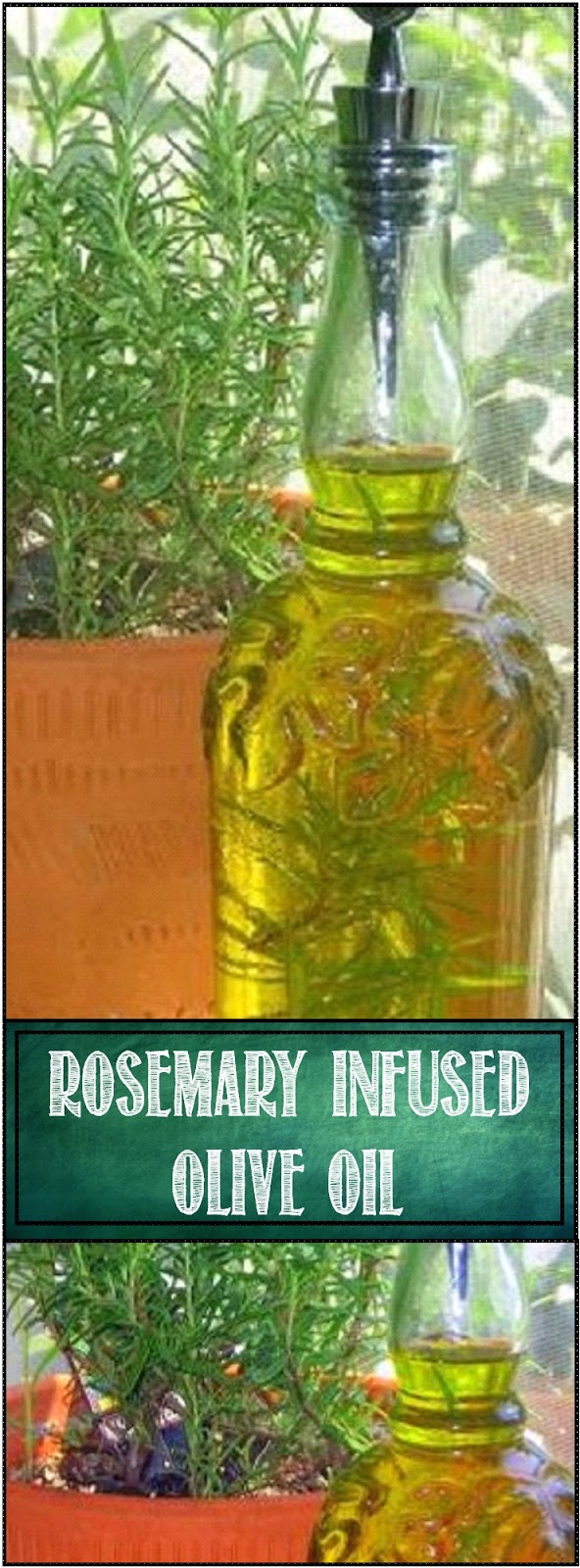 52 Ways to Cook How to Make Rosemary Oil 52 Sauces Condiments and Spices