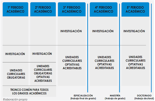 Estructura curricular de los PNFA Estructura curricular de los PNFA