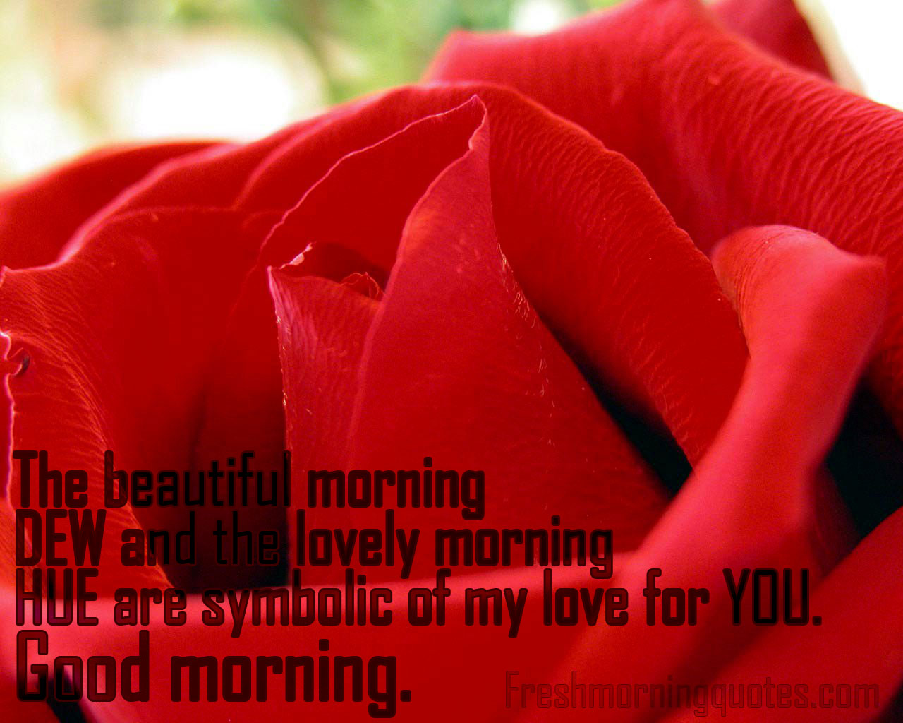 Good Morning Text Messages for To My Lovely Wife | Good morning texts