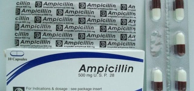 أمبيسيلين Ampicilin كبسولات مضاد حيوى أمبيسيلين Ampicilin كبسولات مضاد حيوى