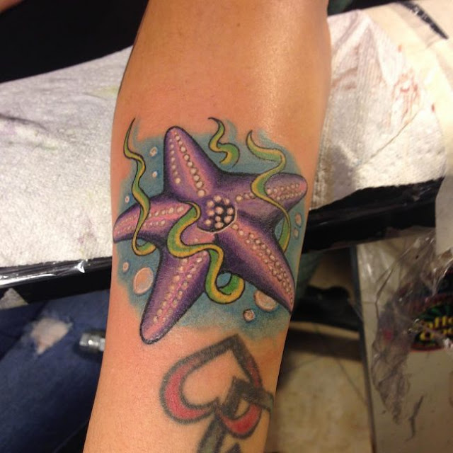 Tatuagens de estrela do mar Tatuagens de estrela do mar