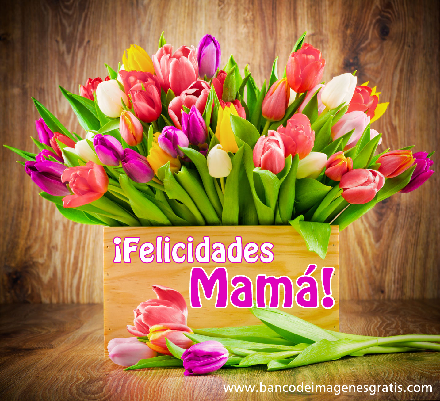 Unique Wallpaper ¡feliz Día De Las Madres Recopilación Especial Con