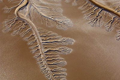 O leito seco do rio, o deserto de Sonora, México
