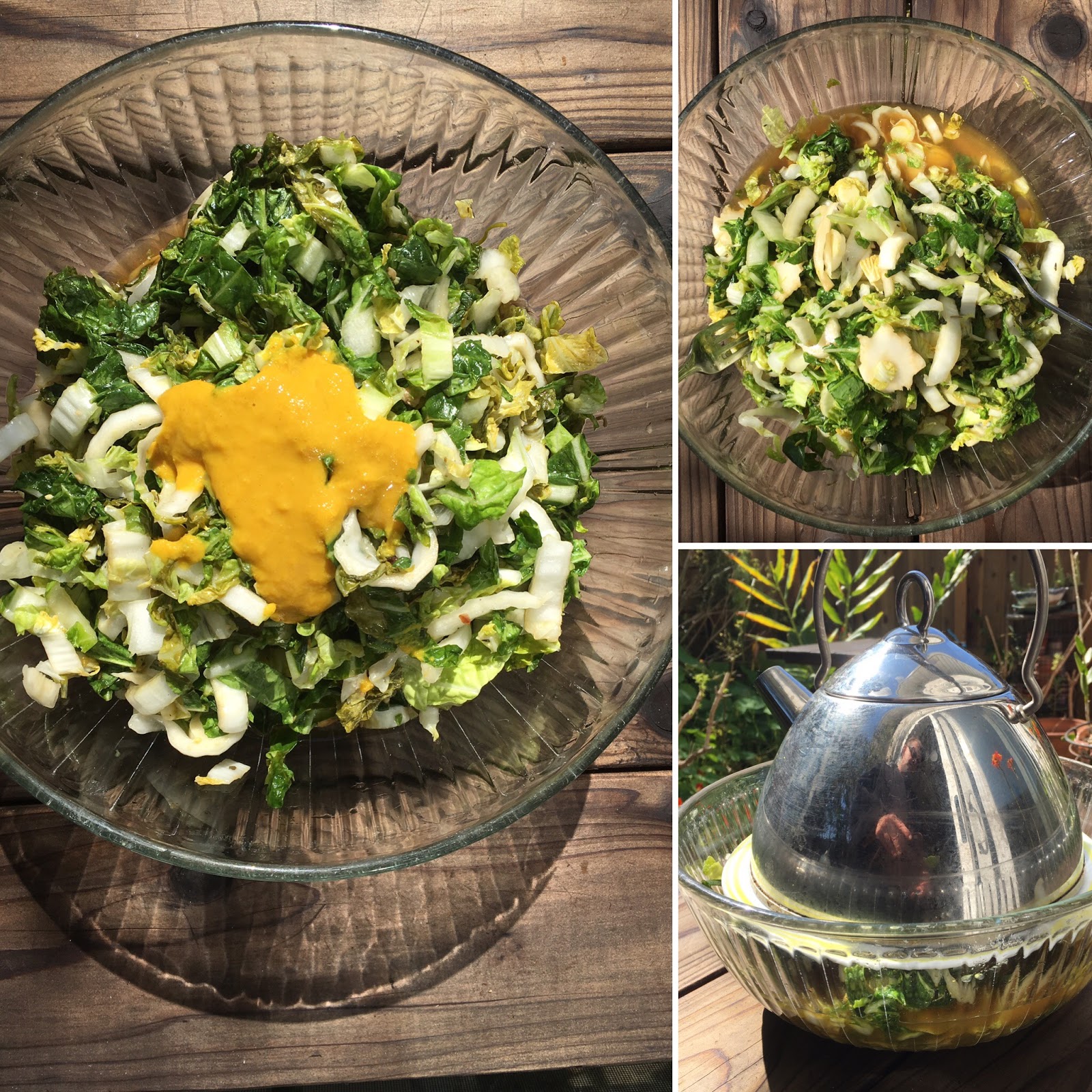 Avanti Cafe Musings Easy Napa Cabbage Pickles Hakusai Tsukemono