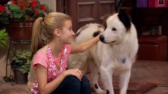 Evan and Lauren's Cool Blog: 11/1/13: Dog With a Blog New Episode on - Dog With A Blog Season 3 Episode 24