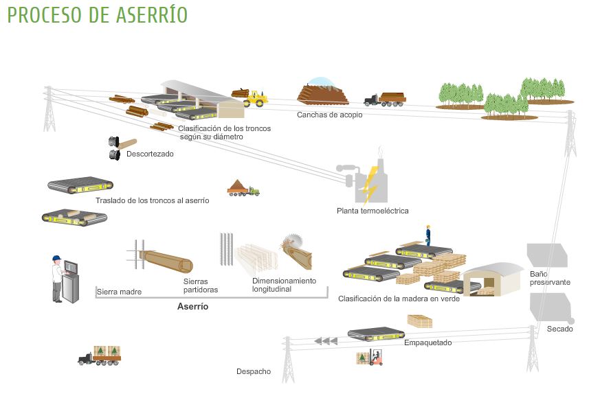 PROCESOS DEL ASERRADERO-AMBIENTES