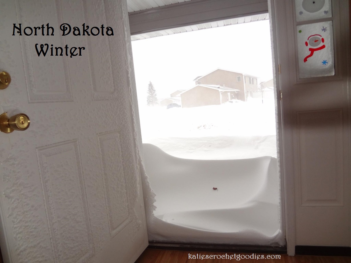 North+Dakota+Winter.jpg