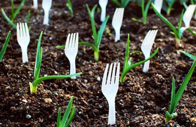 Gardening Tips Gardening Tips